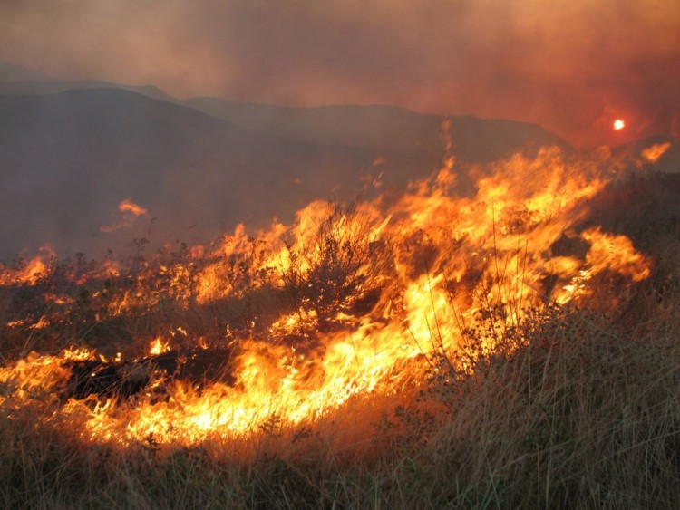 Μεγάλη πυρκαγιά στην Εύβοια - Εκκενώθηκαν δύο χωριά