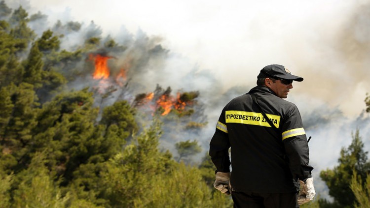 Πυρκαγιά σε δασική έκταση στην Εύβοια